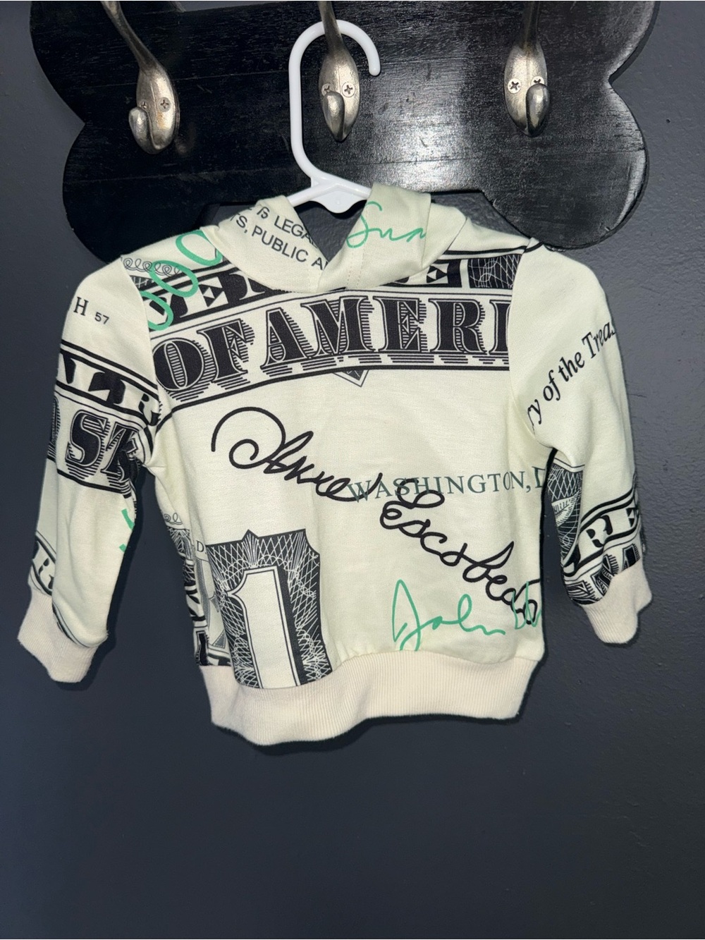 Money Graphic Print Hooded Sweatshirt and Pants matching set